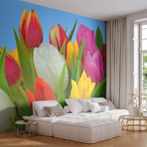 Fototapeta Samoprzylepna Deluxe Sticker - Kwiatowa tęcza w kroplach rosy - Tulipany, Kwiaty, Bukiet Kwiatów - 250x175 cm