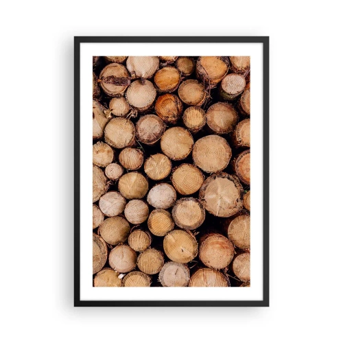Plakat w czarnej ramie - Naturalne ścięte pnie drzew w artystycznym układzie - 50x70cm - Nowy początek - Nowoczesna dekoracja ścienna do salonu i sypialni ARTTOR