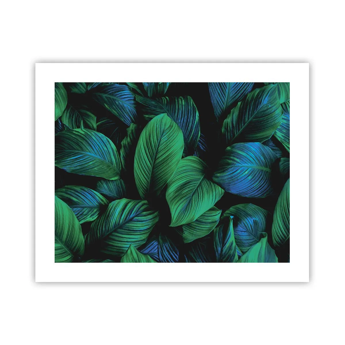 Plakat - W zielonym tłumie - 50x40 cm