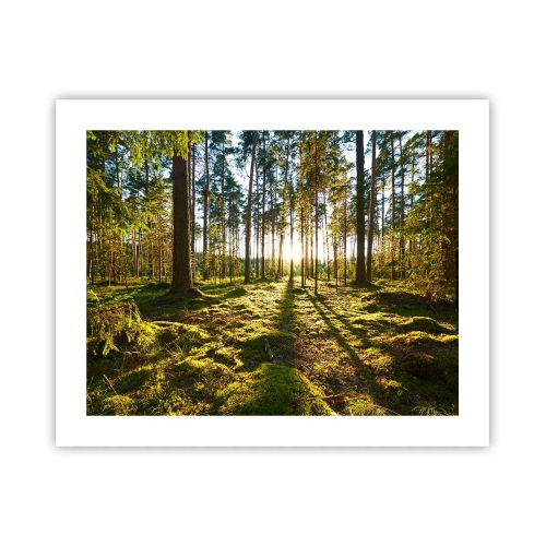 Plakat - …Za siedmioma lasami - 50x40 cm