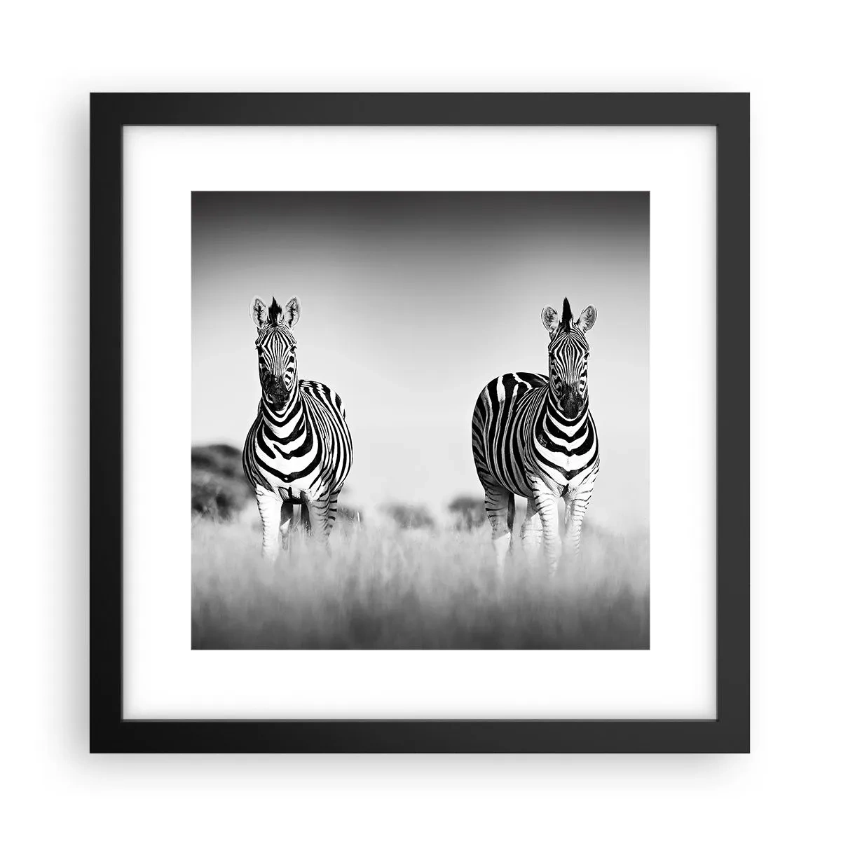 Plakat w czarnej ramie - A jednak świat jest czarno-biały - 30x30 cm