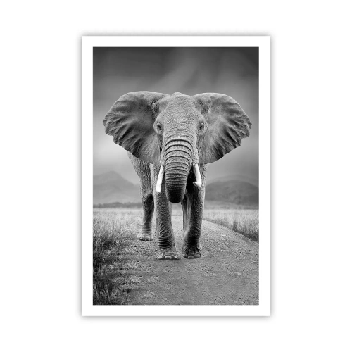 Plakat - Gospodarz wita - 61x91 cm