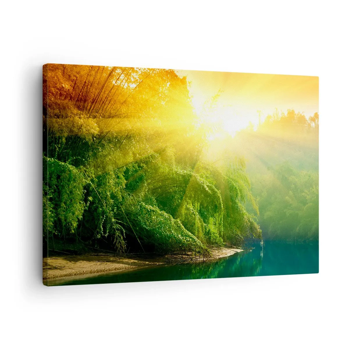 Obraz na płótnie - Zielony las nad rzeką oświetlony promieniami wschodzącego słońca - 70x50cm - Utonąć w słońcu i w cieniu - Nowoczesna dekoracja ścienna do salonu i sypialni ARTTOR
