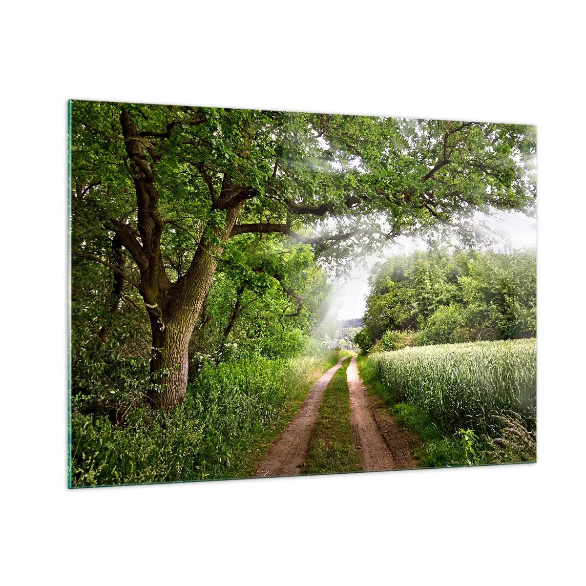 Obraz na szkle - Leśna droga otoczona zielenią w promieniach słońca - 100x70cm - Et in Arcadia ego - Nowoczesna dekoracja ścienna do salonu, kuchni i sypialni ARTTOR