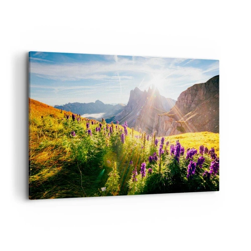 Obraz na płótnie - Górski krajobraz z kwiatami w świetle wschodzącego słońca - 120x80cm - Sekretne życie ziół - Nowoczesna dekoracja ścienna do salonu, kuchni i sypialni ARTTOR