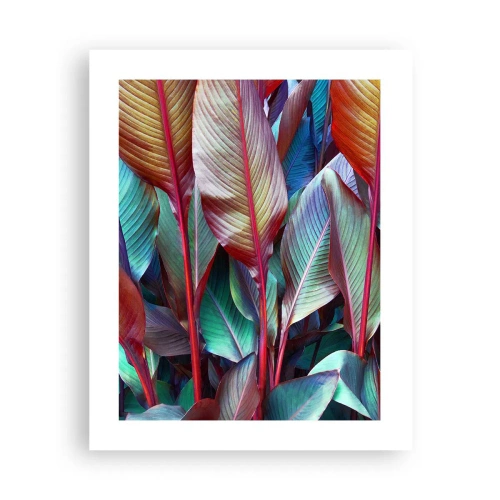 Plakat - Kolorowy gąszcz - 40x50 cm