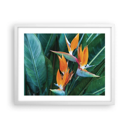 Plakat w białej ramie - Czy to kwiat, czy to ptak? - 50x40 cm