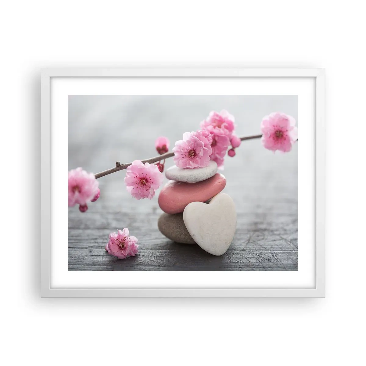 Plakat w białej ramie - Błogość z kwiatem wiśni - 50x40 cm