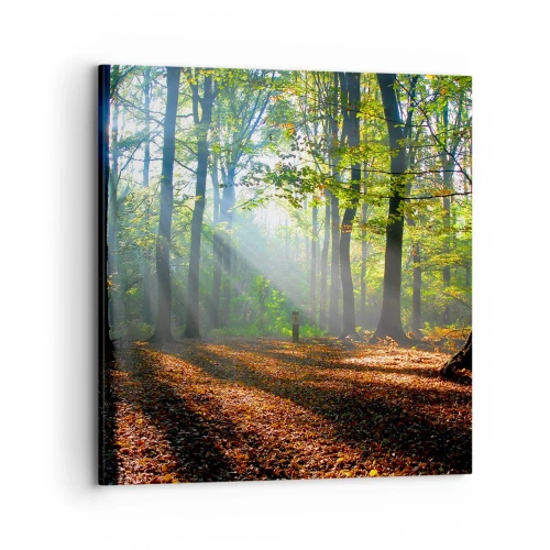 Obraz na płótnie - Blaski i cienie - 70x70 cm