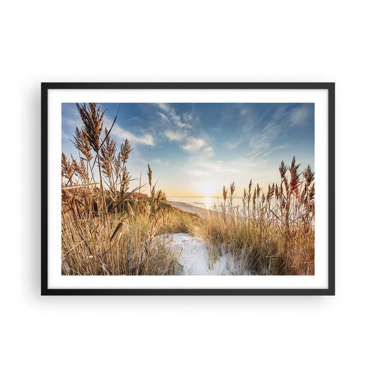 Plakat w czarnej ramie - Malownicza plaża z trawami i zachodzącym słońcem - 70x50cm - Północna plaża - Nowoczesna dekoracja ścienna do salonu i sypialni ARTTOR