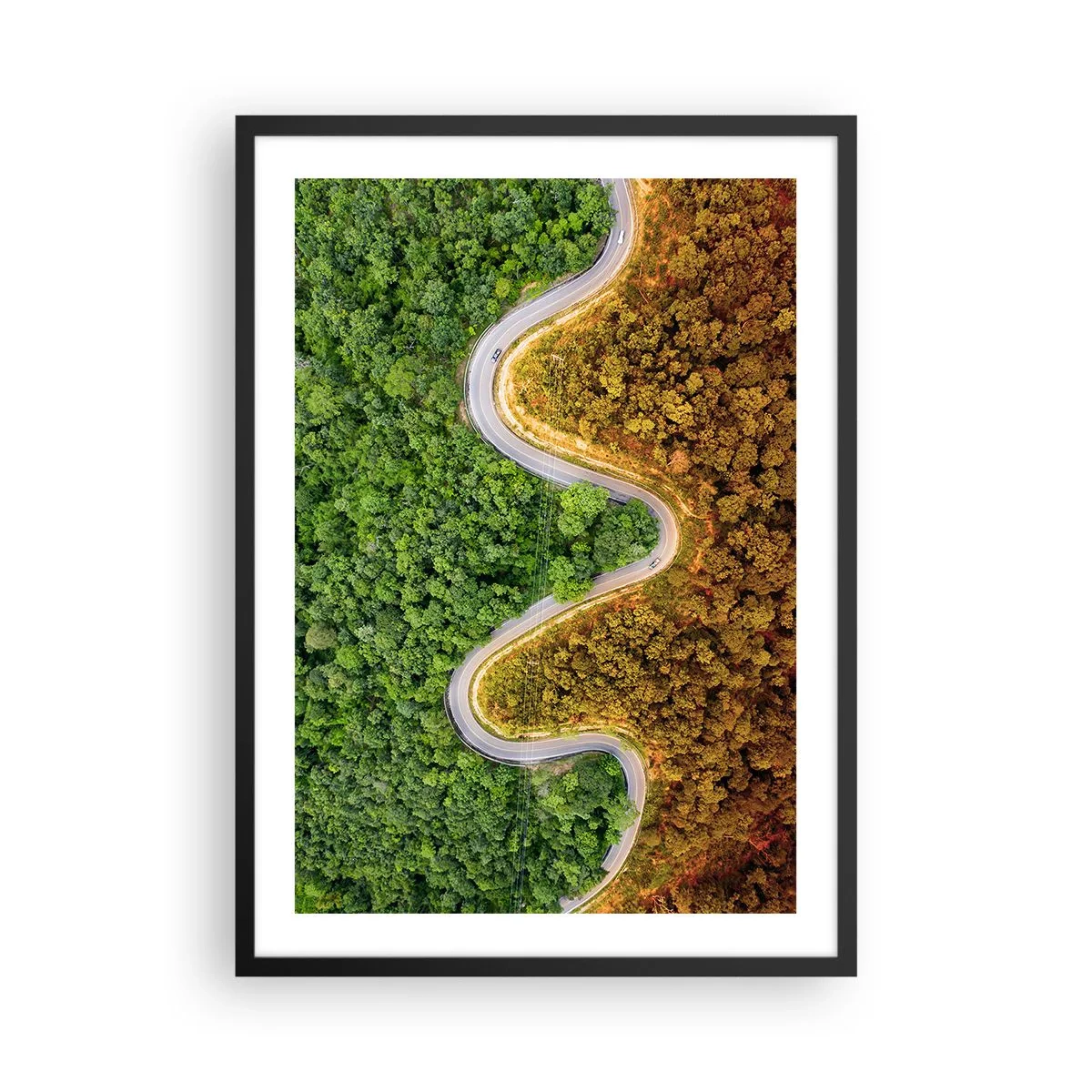 Plakat w czarnej ramie - Droga wijąca się przez las podzielony na zieloną i jesienną część - 50x70cm - Granice i przełomy - Nowoczesna dekoracja ścienna do salonu i sypialni ARTTOR