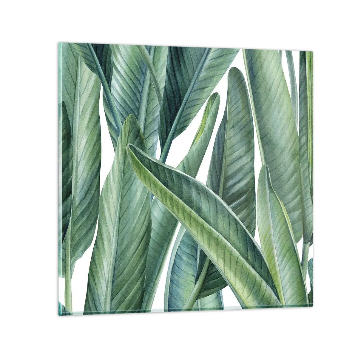 Obraz na szkle - Zieleń sama w sobie - 50x50 cm