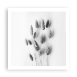 Plakat - Jej puszystość trawa - 60x60 cm