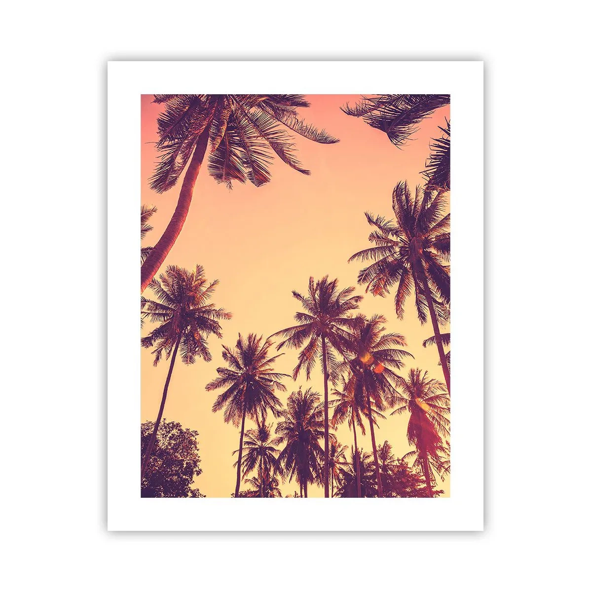 Plakat - Tropikalna wariacja - 40x50 cm