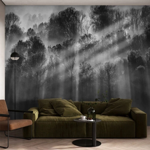 Fototapeta Premium Sand - W strumieniach światła - Krajobraz, Las, Czarno-Biały - 350x256 cm