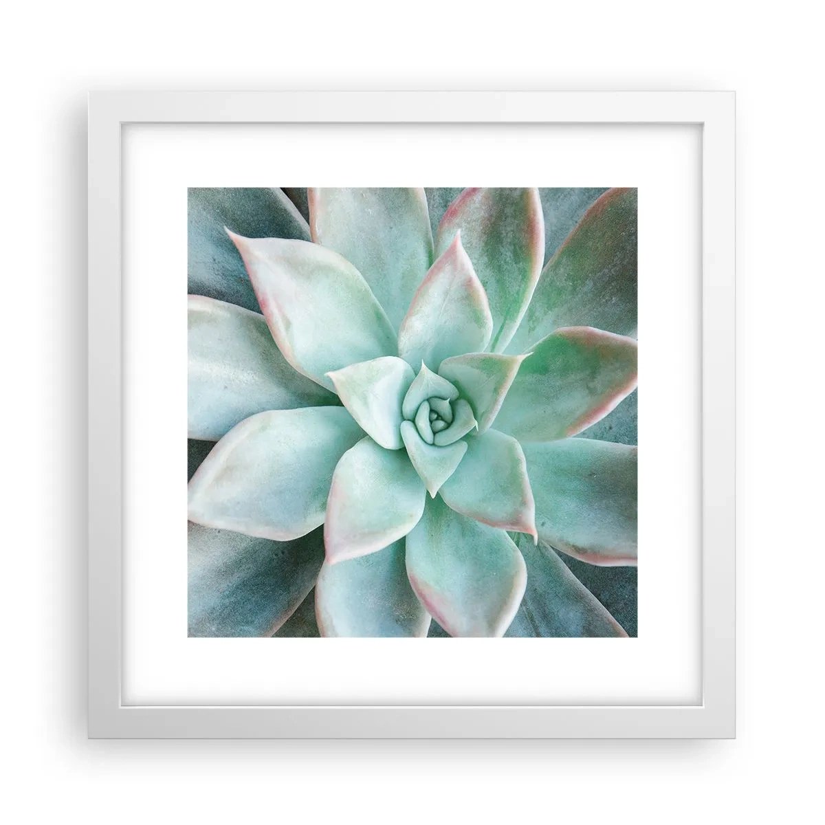 Plakat w białej ramie - Serce pustyni - 30x30 cm