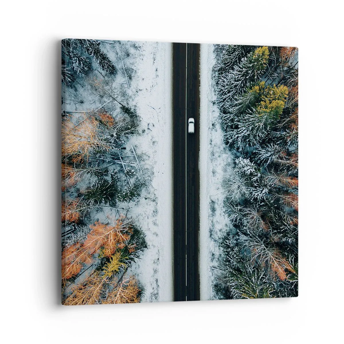 Obraz na płótnie - Przeciąć zimowy las - 40x40 cm