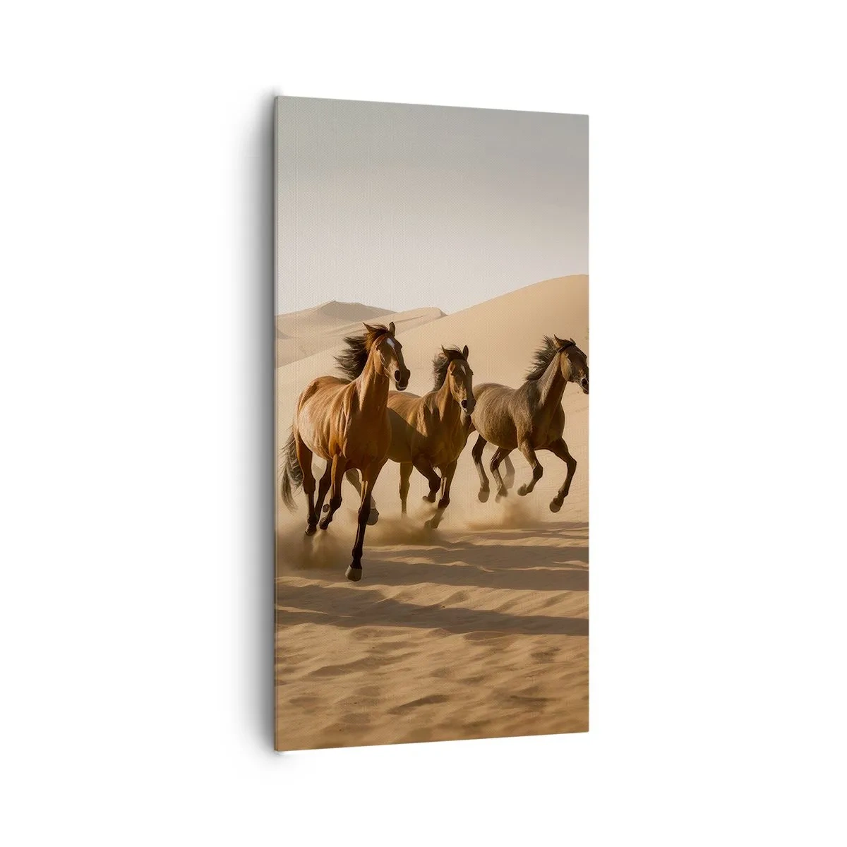 Obraz na płótnie - Wolne jak wiatr - 65x120 cm