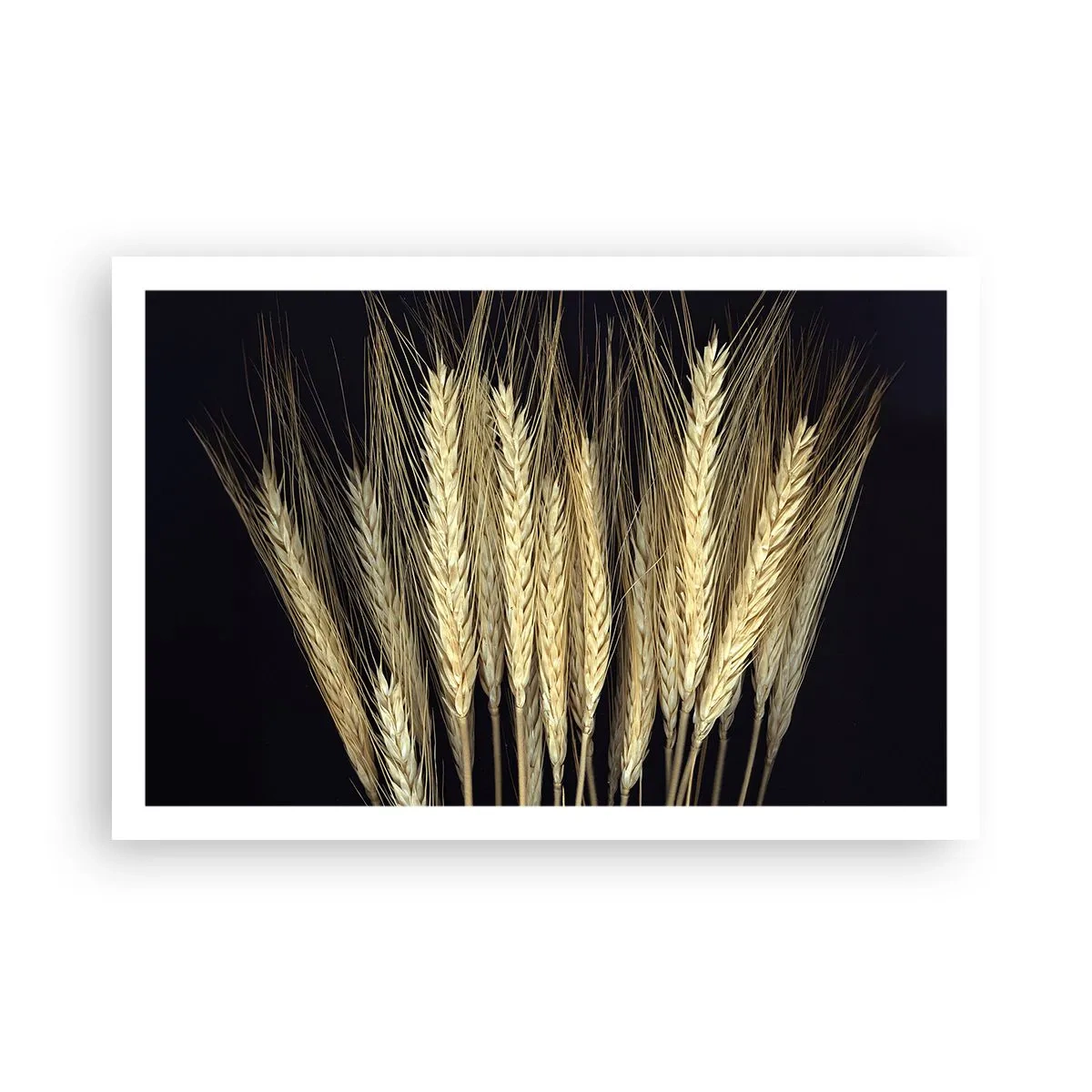 Plakat - Rustykalna magia - 91x61 cm