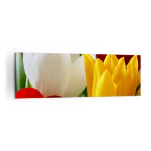 Obraz na płótnie - Kolorowe tulipany w zbliżeniu na wiosennym tle - 160x50cm - Tulipanowa gorączka - Nowoczesna dekoracja ścienna do salonu i sypialni ARTTOR