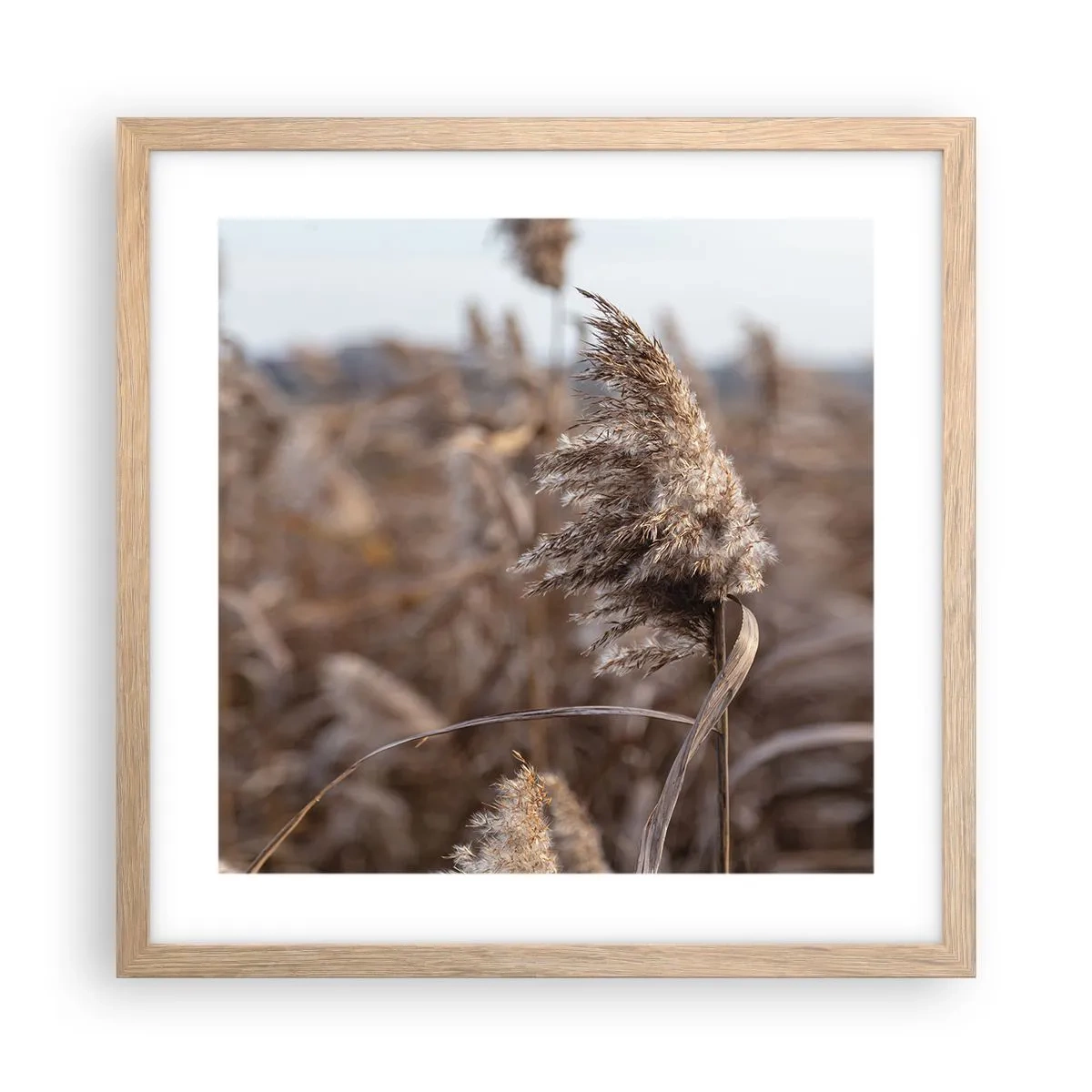 Plakat w ramie jasny dąb - Czas odlecieć z wiatrem - 40x40 cm