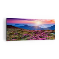 Vászonkép - A gyógynövények friss fürtjei illatoztak a mezőkről - 120x50 cm