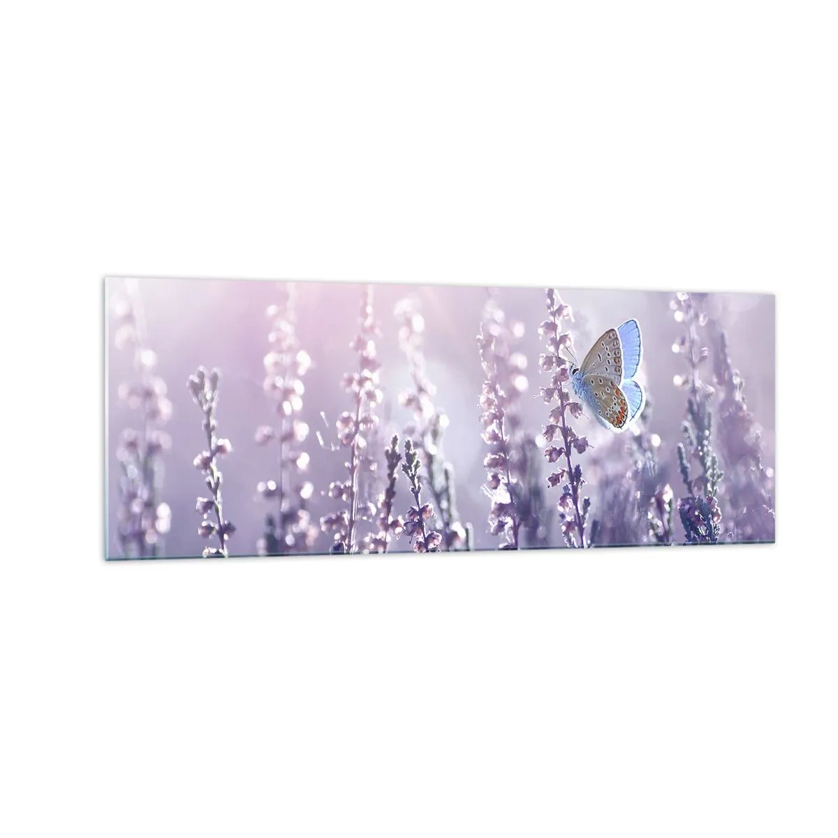 Obraz na szkle - Motyl na kwitnącej lawendzie w świetle poranka - 140x50cm - Pocałunek motyla - Nowoczesna dekoracja ścienna do salonu i sypialni ARTTOR