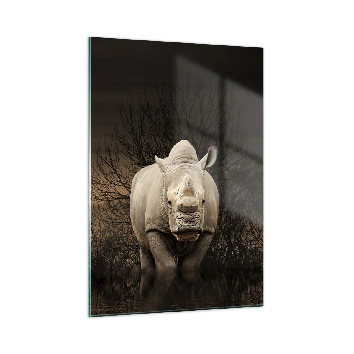 Obraz na szkle - Nosorożec na tle zachodzącego słońca - 50x70cm - Biały przeciw naturze - Nowoczesna dekoracja ścienna do salonu, kuchni i sypialni ARTTOR