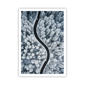 Plakat - Przez zimowy las - 70x100 cm