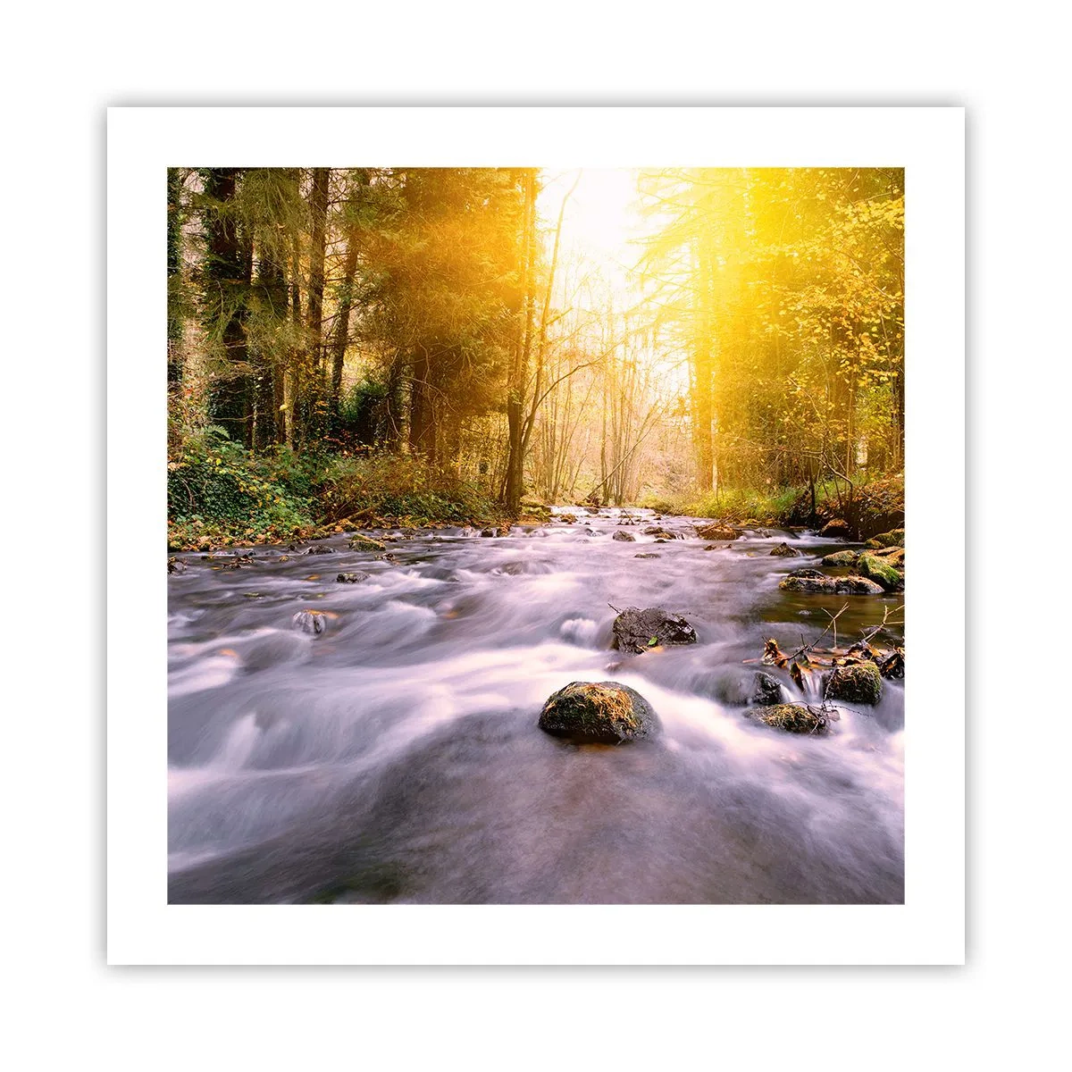 Plakat - Malachit w srebrno-złotej oprawie - 50x50 cm