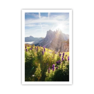 Plakat - Sekretne życie ziół - 61x91 cm