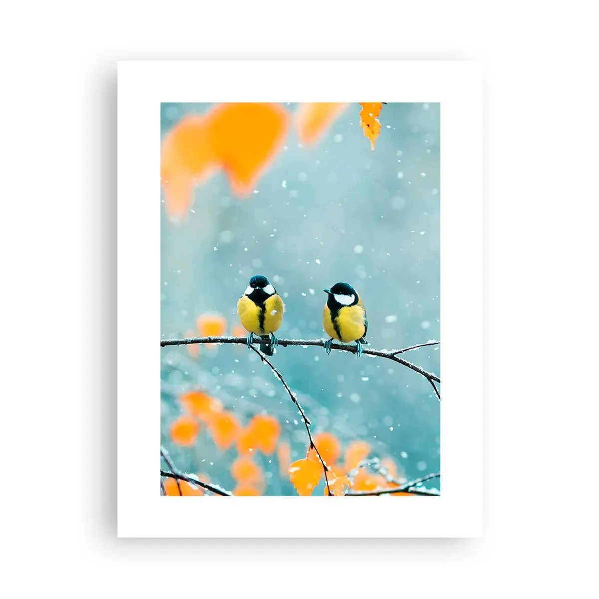 Plakat - Ptasie plotki - 30x40 cm