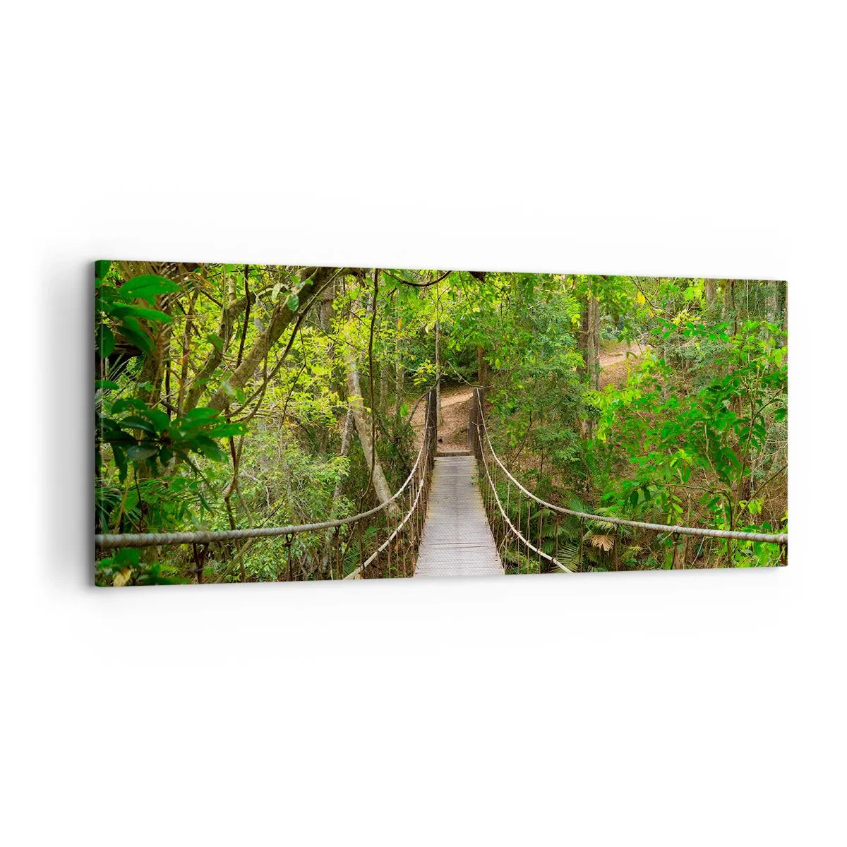 Obraz na płótnie - Wiszący most w otoczeniu zielonego lasu deszczowego - 120x50cm - Bo w ogrodzie rośnie pnącze - Nowoczesna dekoracja ścienna do salonu i sypialni ARTTOR