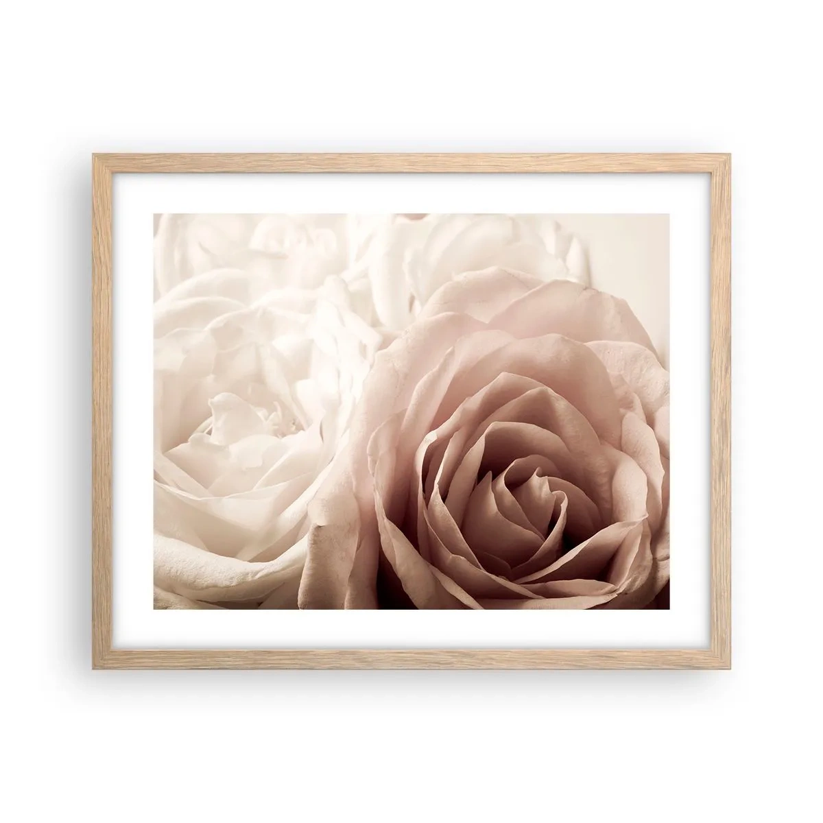 Plakat w ramie jasny dąb - W sercu róży - 50x40 cm