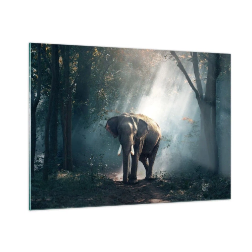 Obraz na szkle - Słoń przechadzający się przez las z promieniami słońca wpadającymi przez drzewa - 100x70cm - Spokojna przechadzka - Nowoczesna dekoracja ścienna do salonu, kuchni i sypialni ARTTOR