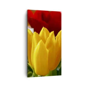 Obraz na płótnie - Tulipanowa gorączka - 45x80 cm