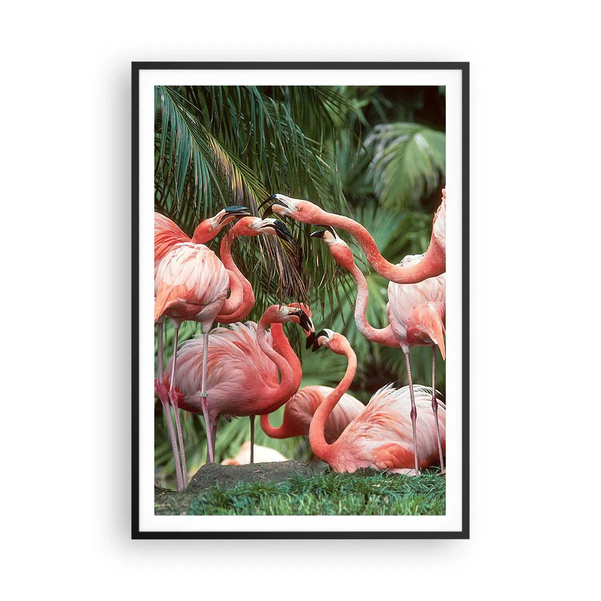 Plakat w czarnej ramie - Popołudniowe ploteczki - 70x100 cm