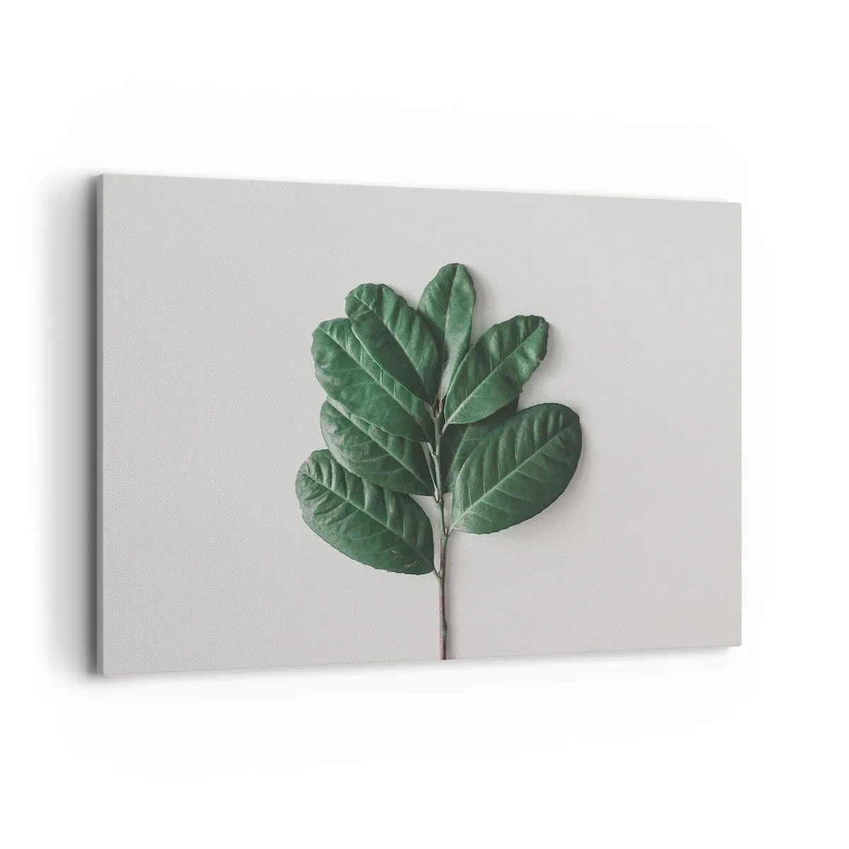 Obraz na płótnie - Gałązka zielonych liści na jasnym tle - 120x80cm - Rysunek samej natury - Nowoczesna dekoracja ścienna do salonu, kuchni i sypialni ARTTOR