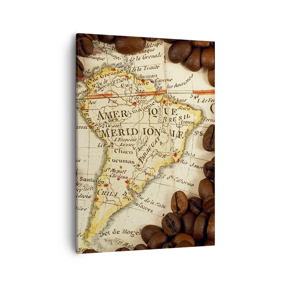 Obraz na płótnie - Mapa Ameryki Południowej z ziarnami kawy - 50x70cm - Skąd pochodzi najlepsza kawa? - Nowoczesna dekoracja ścienna do salonu, kuchni i sypialni ARTTOR