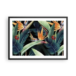 Plakat w czarnej ramie - Tropikalne kwiaty i liście na czarnym tle - 70x50cm - Płomienne kwiaty tropików - Nowoczesna dekoracja ścienna do salonu i sypialni ARTTOR