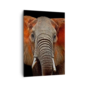 Obraz na płótnie - Portret słonia na czarnym tle - 70x100cm - Jestem dziki, a ty? - Nowoczesna dekoracja ścienna do salonu i sypialni ARTTOR