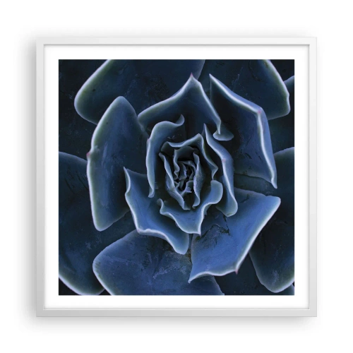 Plakat w białej ramie - Kwiat pustyni - 60x60 cm