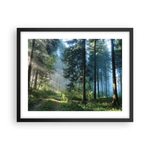 Plakat w czarnej ramie - Rozpromieniony o poranku - 50x40 cm