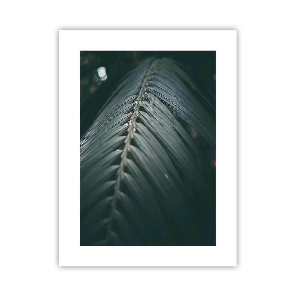 Plakat - Precyzja natury - 30x40 cm