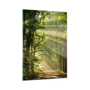 Obraz na szkle - Leśna ścieżka oświetlona promieniami słońca - 50x70cm - Leśna chwila - Nowoczesna dekoracja ścienna do salonu, kuchni i sypialni ARTTOR