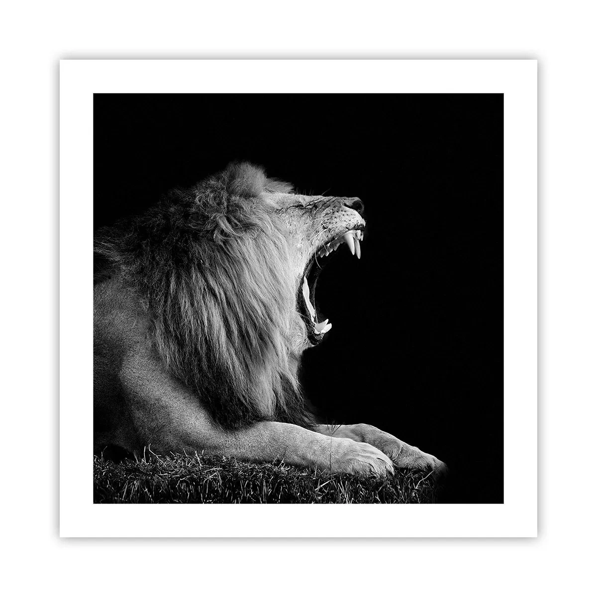 Plakat - Bez żadnych wątpliwości - 50x50 cm