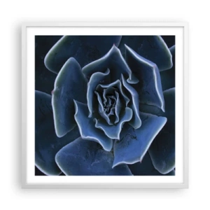 Plakat w białej ramie - Kwiat pustyni - 60x60 cm