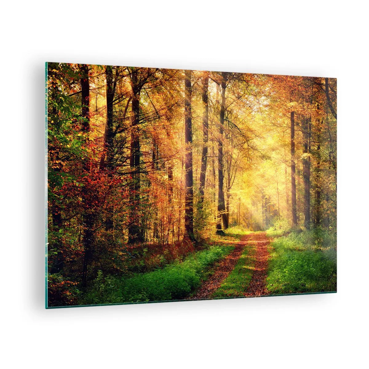 Obraz na szkle - Jesienna ścieżka w lesie z promieniami słońca - 70x50cm - Leśno-złota cisza - Nowoczesna dekoracja ścienna do salonu i sypialni ARTTOR