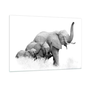 Obraz na szkle - Czarno-biała rodzina słoni w naturze - 120x80cm - Raz, dwa, trzy - Nowoczesna dekoracja ścienna do salonu, kuchni i sypialni ARTTOR