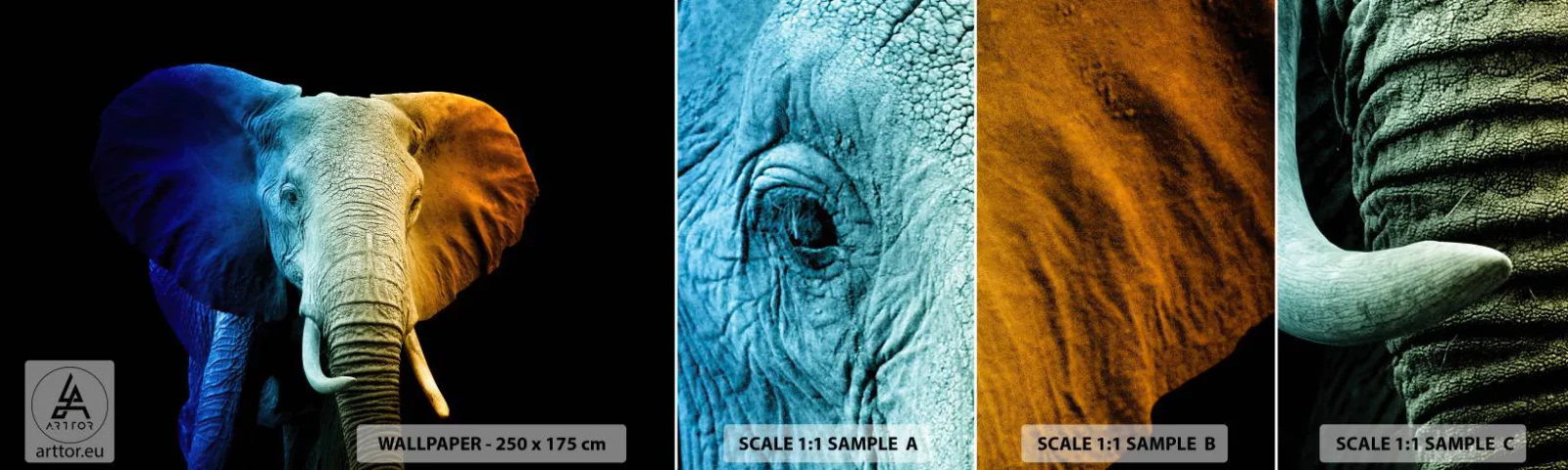 Fototapeta Próbka Samoprzylepna Deluxe Sticker - Ekscentryk, nie dziwak - Abstrakcja, Słoń, Zwierzęta - 100x30 cm